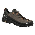 Salewa - Alp Trainer 2 GTX Men's Shoes-shoes-Living Simply Auckland Ltd