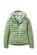 Dark Fig Green