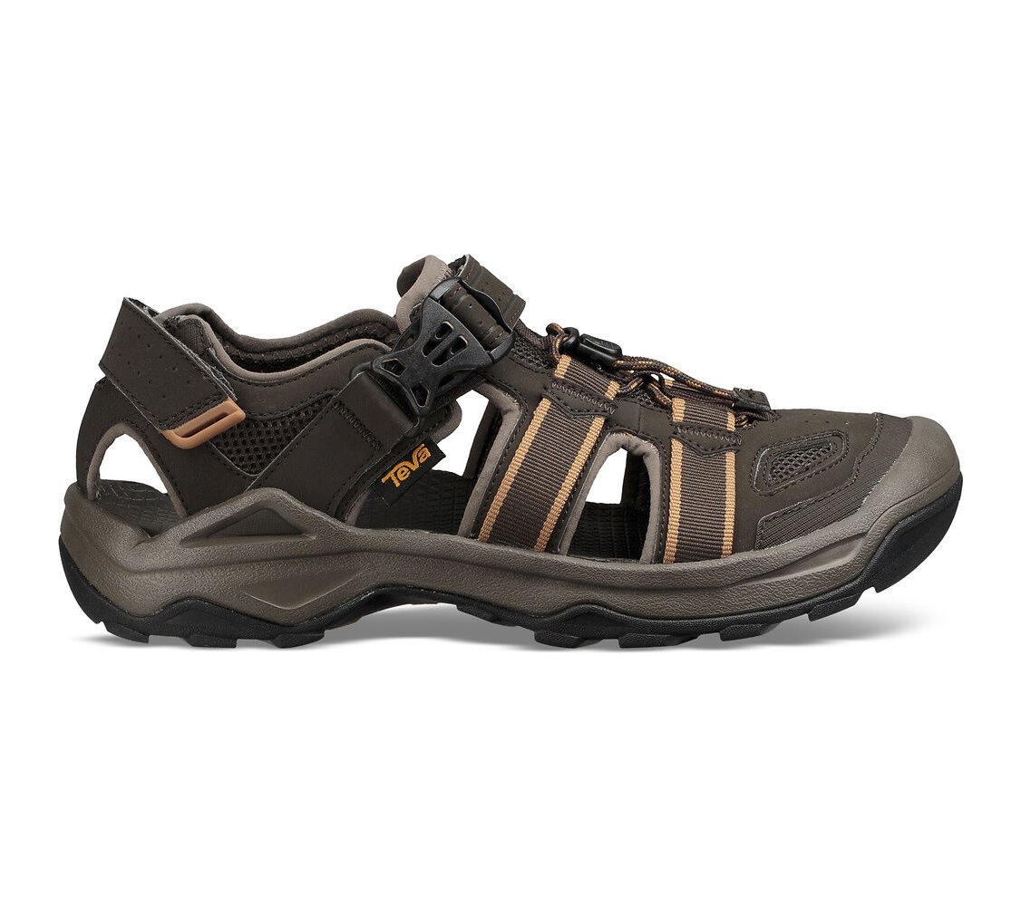 teva omnium 2 mens