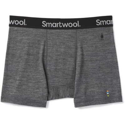 Smartwool - Men's Merino Sport 150 Boxer Briefs