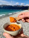 Local Dehy -Sundried Tomato and Red Pepper Hummus-complements-Living Simply Auckland Ltd